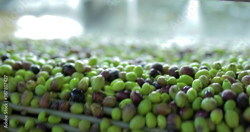 Frantoio per olive, produzione industriale di olio extra vergine di oliva. photo