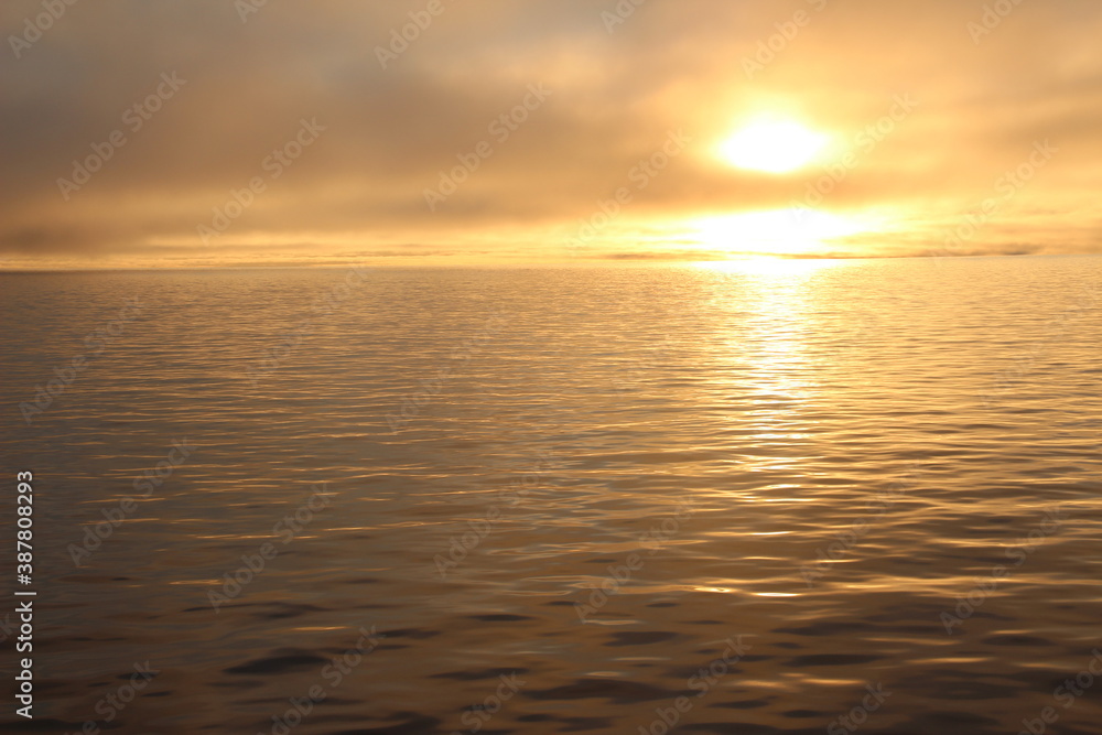 Arctic. The Golden sunrise. Laptev sea. Light. Velvet background