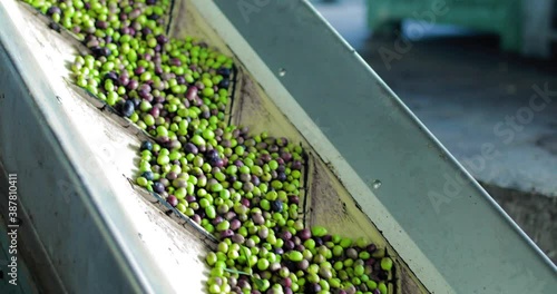 Frantoio per olive, produzione industriale di olio extra vergine di oliva. photo