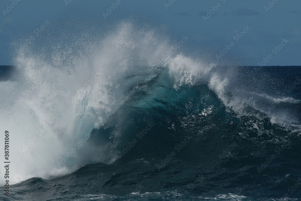 Fototapeta premium Ola en el océano
