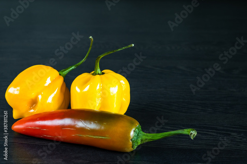 Yellow habanero peppers and a colorful hot pepper photo