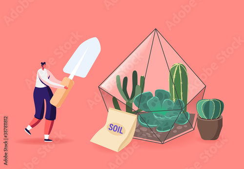 Home Gardening, Growing Plants in Terrarium. Female Character with Spade Planting Succulents. Botanist Planting Flowers