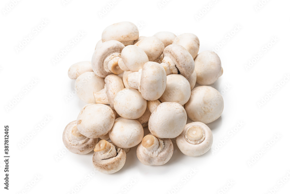 Champignon mushroom isolated on white background.