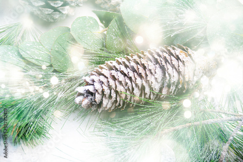 christmas background with p...