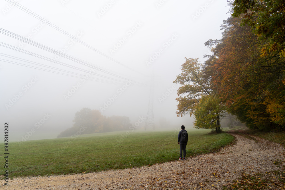 Herbst im Nebel