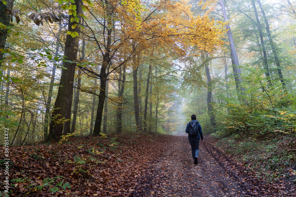 Herbst im Nebel