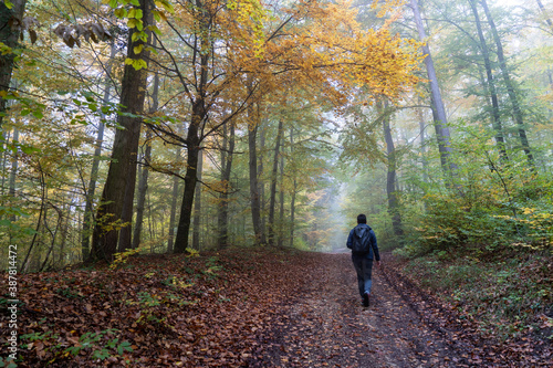 Herbst im Nebel