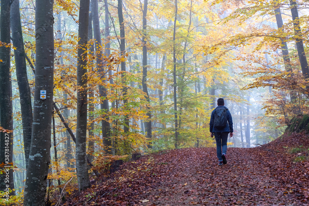 Herbst im Nebel