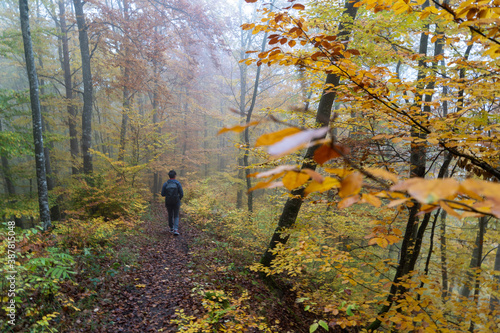 Herbst im Nebel © Volker Loche