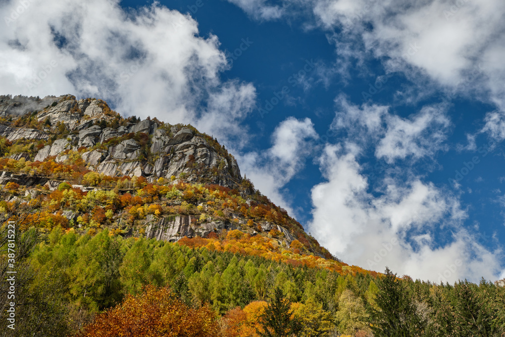 Mountain multicolor woods, in autumn season lake in Val di Mello, Val Masino , Italy - lombardy.