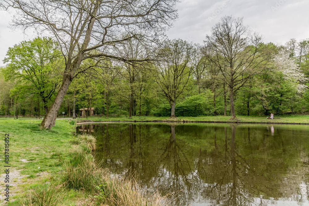 Small lake with calm water and mirror reflection with a leaning bare tree on the shore, green vegetation, lush trees and a wooden arch in the background, sunny day in South Limburg, the Netherlands
