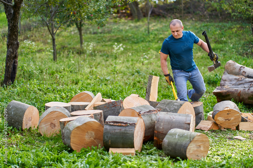 Farmer splitting logs Farmer splitting logs