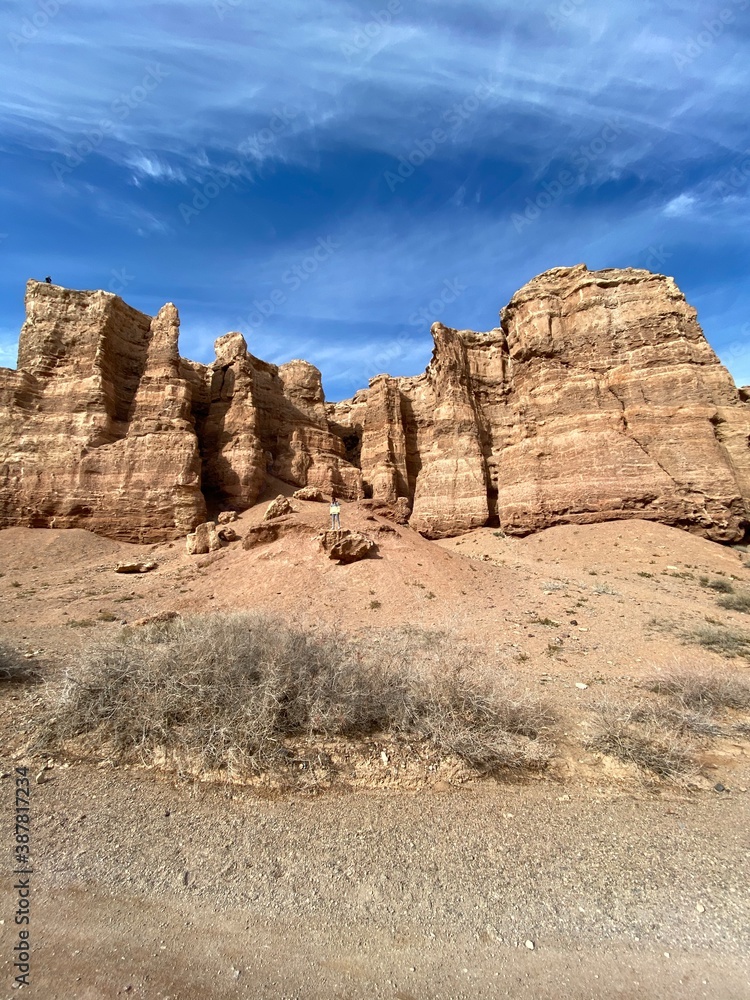 Fototapeta premium park