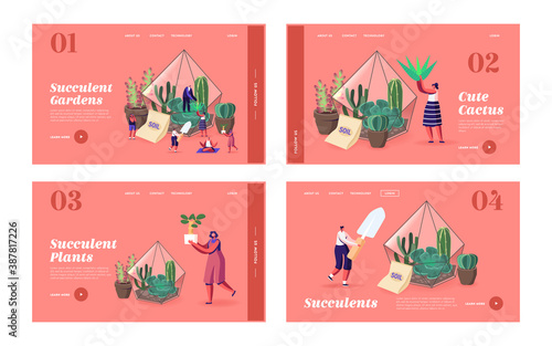 Tiny Characters Grow Cacti and Succulents in Pots at Home Landing Page Template Set. Gardening, People Planting Hobby
