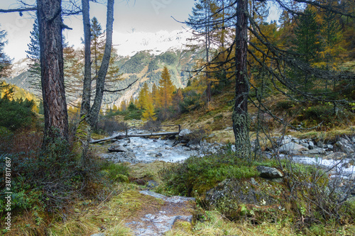 Fototapeta Naklejka Na Ścianę i Meble -  herbstliche Berglandschaft in den österreichischen Alpen mit Gletscher im Hintergrund
