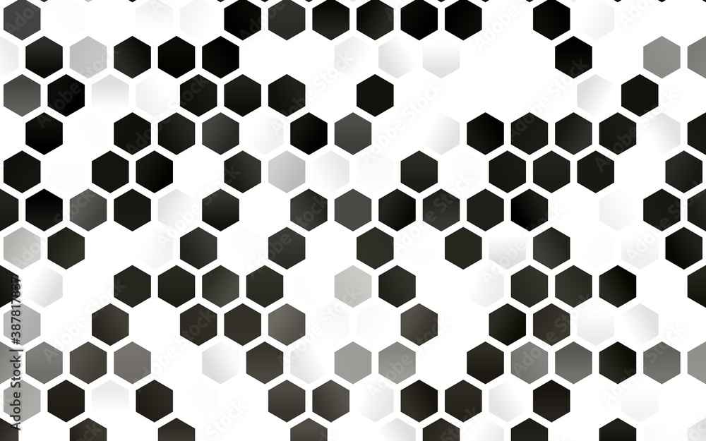 Light Black vector backdrop with hexagons. Light Black vector backdrop with hexagons.