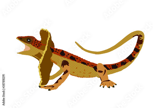 Frilled lizard vector illustration isolated on white background. Chlamydosaurus kingii symbol. Frill Dragon Neck.