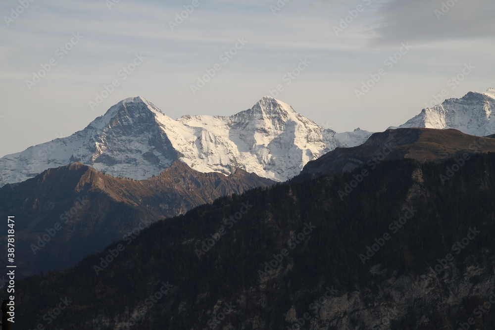 Fototapeta premium Natur, Landschaft, Herbst, Baum , Blätter , Schweiz, Wald, Reisen, Tourismus, Park , Grün, Travelling, Travel, Autmn, Autnm, Trip, Tourism,Switzerland, forest, tree, landscape, valley Mountain, Berg,
