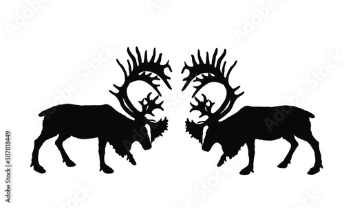 Deer battle vector silhouette illustration isolated on white. Reindeer powerful buck with huge antlers. Rein deer fighting for female. Struggle in forest. Zoo animal nature. Christmas holiday symbol.
