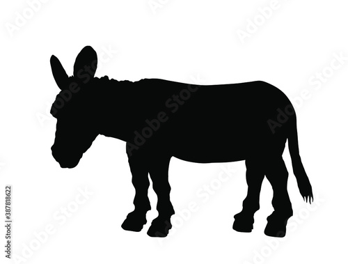Donkey vector silhouette illustration isolated on white background. Domestic animal symbol. 