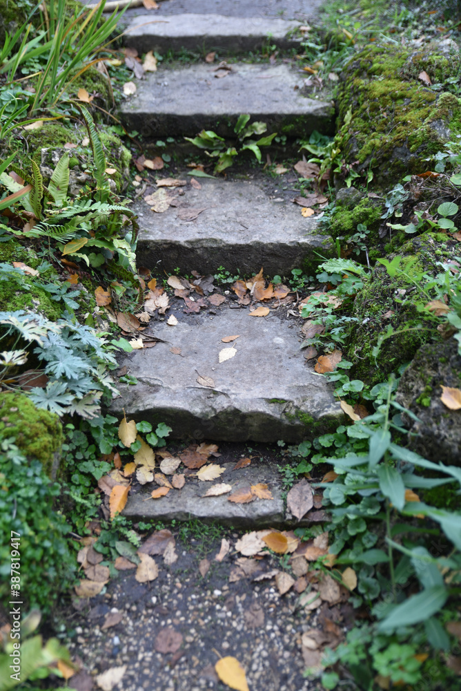 Petit escalier de jardin en automne