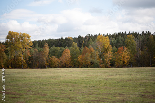 Wald im Herbst; Dorf