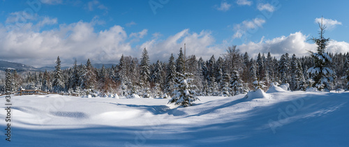 Winter remote alpine village outskirts, snow drifts on mountain fir forest edge. Tourist backpack on a freshly trodden hiking trail path. High resolution panorama.