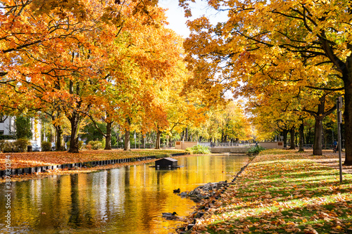 Cologne, Koln, Germany: Beautiful Autumn Fall Foliage Trees on Clarenbachkanal Water Channel © Paola Leone