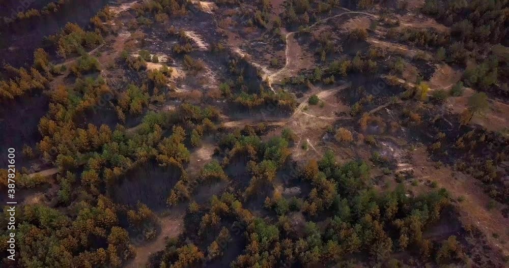 Burnt and green forest in Ukraine. Aerial video Burnt and green forest in Ukraine. Aerial video