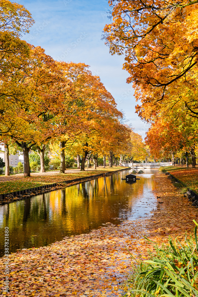 Cologne, Koln, Germany: Beautiful Autumn Fall Foliage Trees on Clarenbachkanal Water Channel