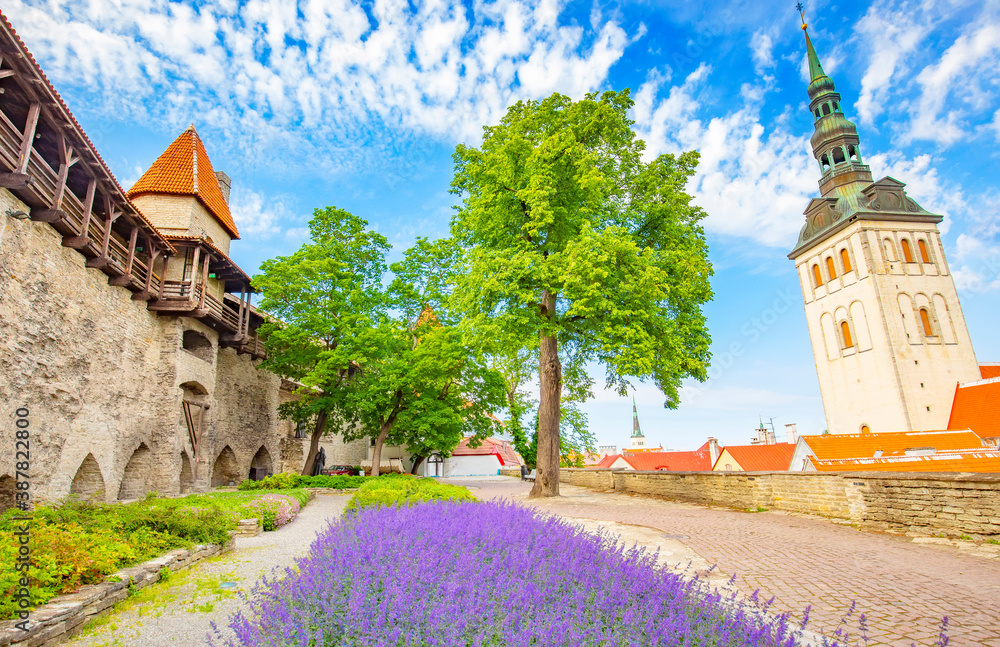 Naklejka premium Tallinn old town view, Estonia