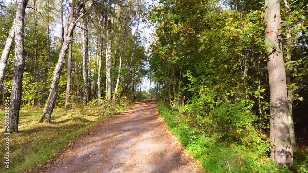 Smooth flight over the road through the autumn forest with yellow and green trees Smooth flight over the road through the autumn forest with yellow and green trees