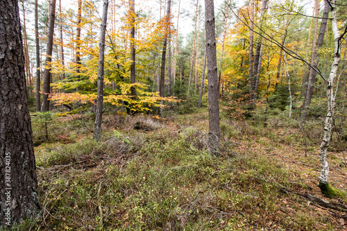 Paysage d automne