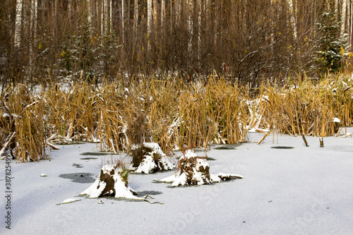 First snow