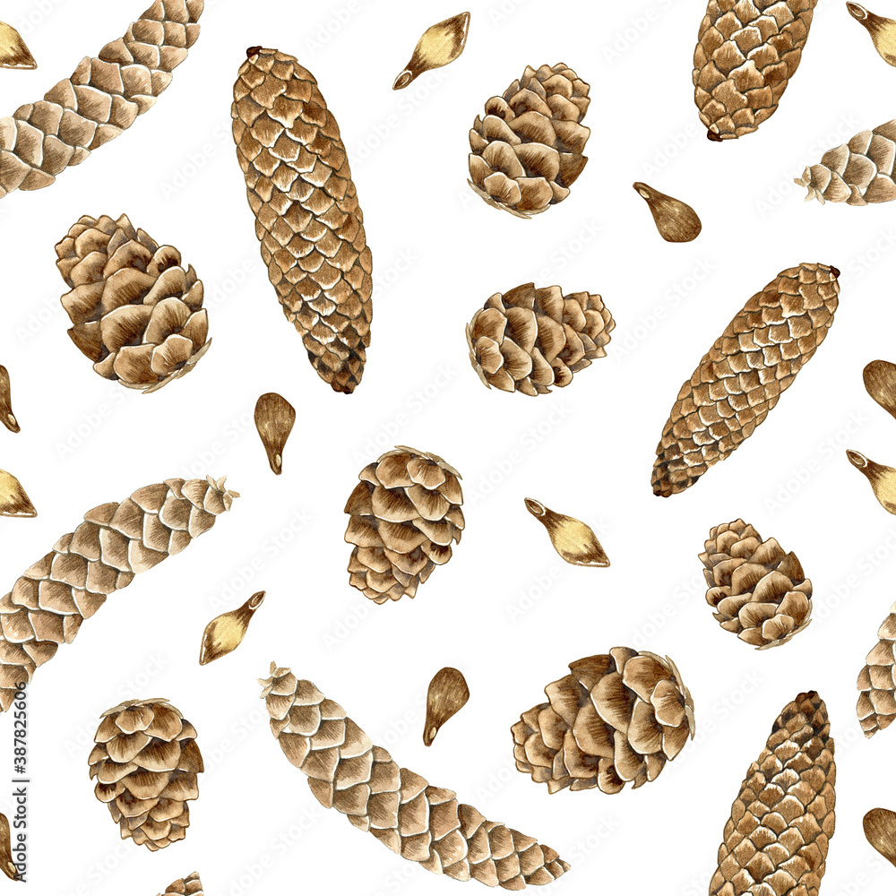 Watercolor background with cones on white. Hand drawn illustration of conifer seamless pattern. Winter backdrop for chistmas decor, holiday design and packaging. Watercolor background with cones on white. Hand drawn illustration of conifer seamless pattern. Winter backdrop for chistmas decor, holiday design and packaging.