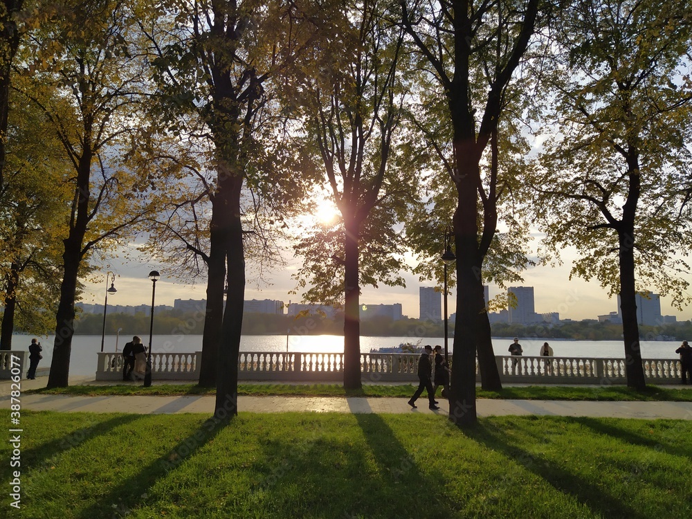 Fototapeta premium Осенний день