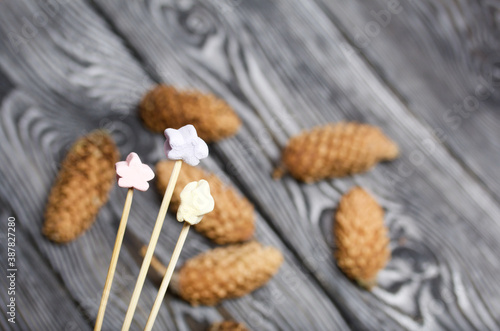 Marshmallows on a stick. Against the background of pine boards in black. Nearby are spruce cones.