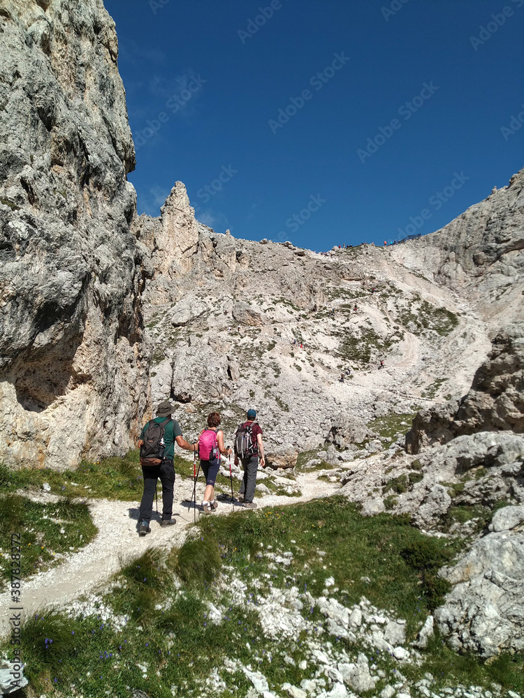 Group of hikers with trekking poles and backpacks hiking on a trail through rocks in the Italian Alps. Dolomite peaks are visible in the background. Puez-Odle natural park, South Tyrol - Italy