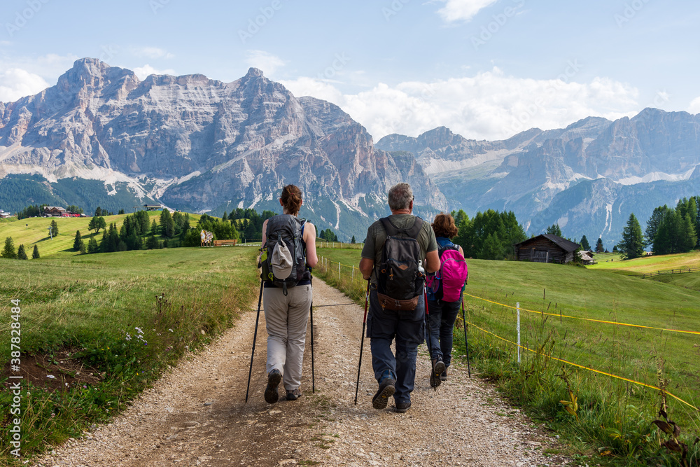 Group of hikers with trekking poles and backpacks hiking on a trail through green meadows in the Italian Alps. Dolomite peaks are visible in the background. Val Badia, South Tyrol - Italy
