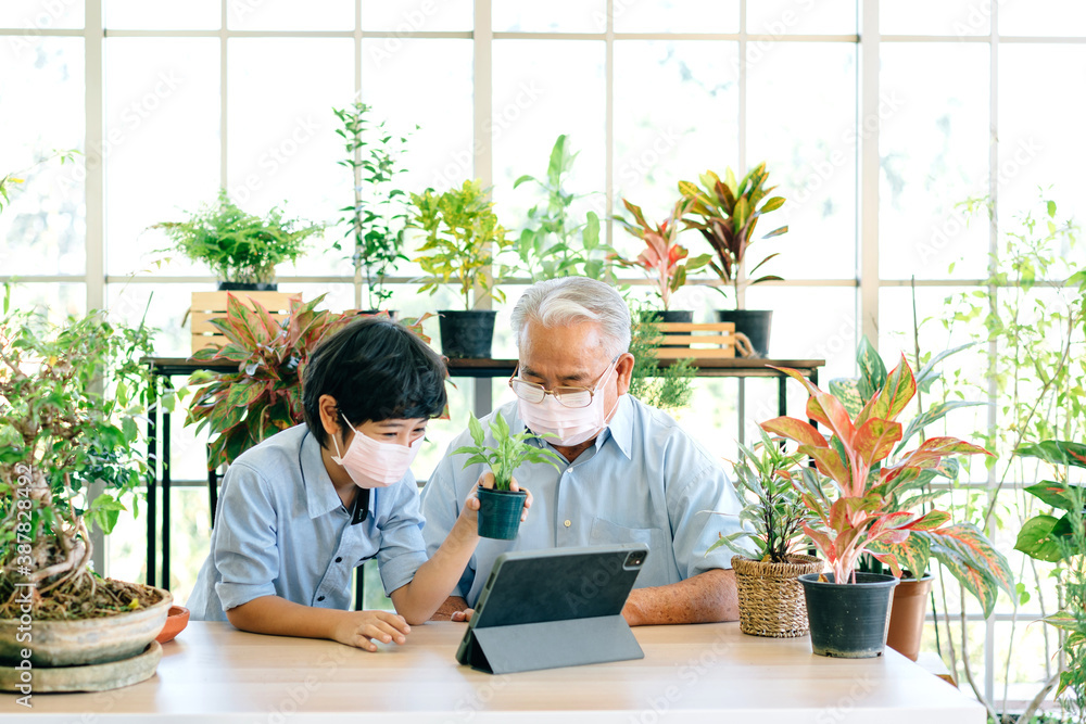 Asian retirement grandfather and grandson wearing a face mask and live to sell plants on a tablet with fun. Retirement hobby and lifestyle. Family bonding between old and young. Concept of quarantine. Asian retirement grandfather and grandson wearing a face mask and live to sell plants on a tablet with fun. Retirement hobby and lifestyle. Family bonding between old and young. Concept of quarantine.