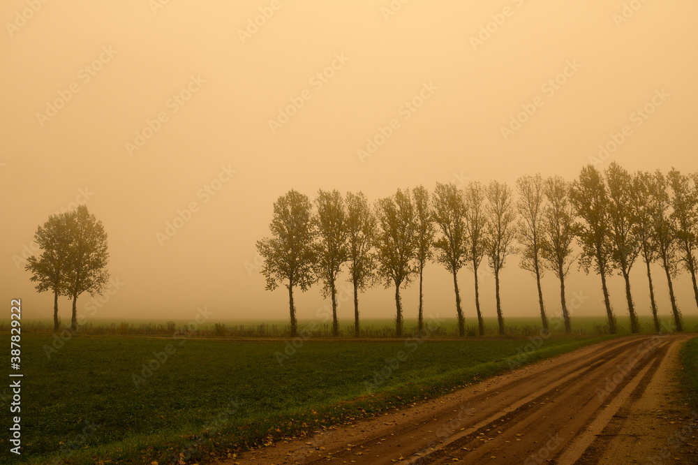 Obraz premium sunrise in the field