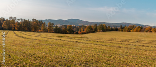 Autumn colorful tree foliage on meadow, and hill Klet. Czech landscape © Space Creator