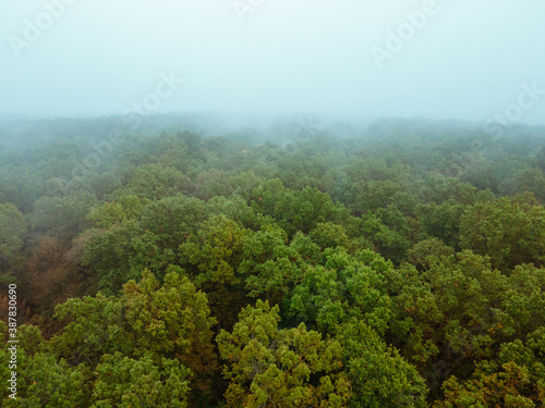 aerial view of autumn forest in mist weather