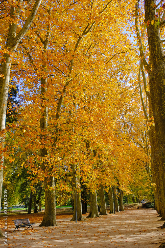 Nature en automne Nature en automne