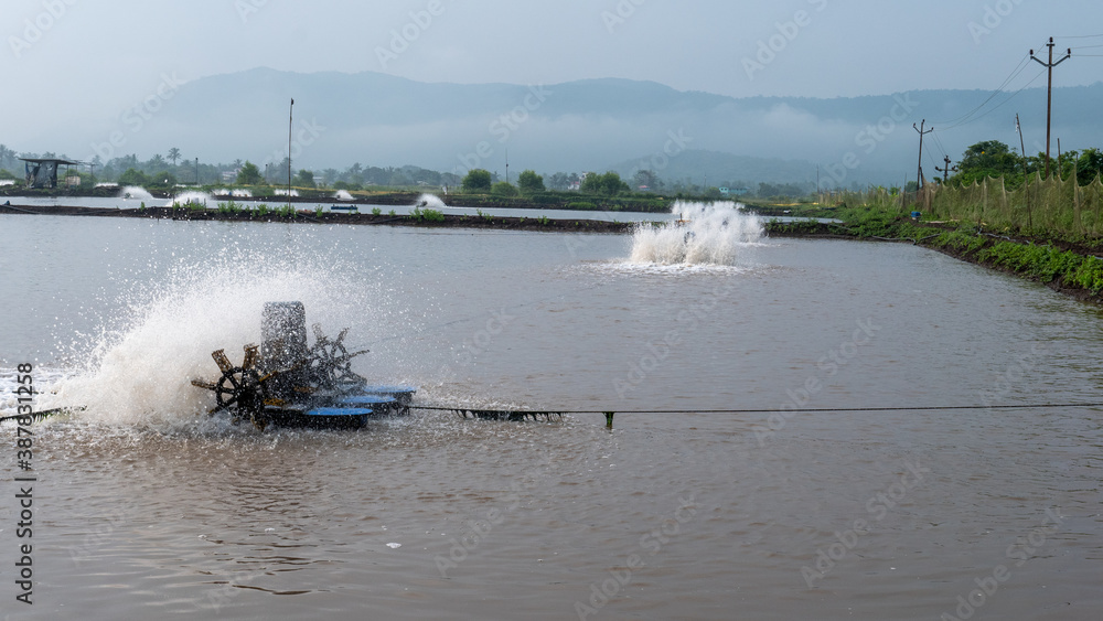 Obraz premium Fish farm