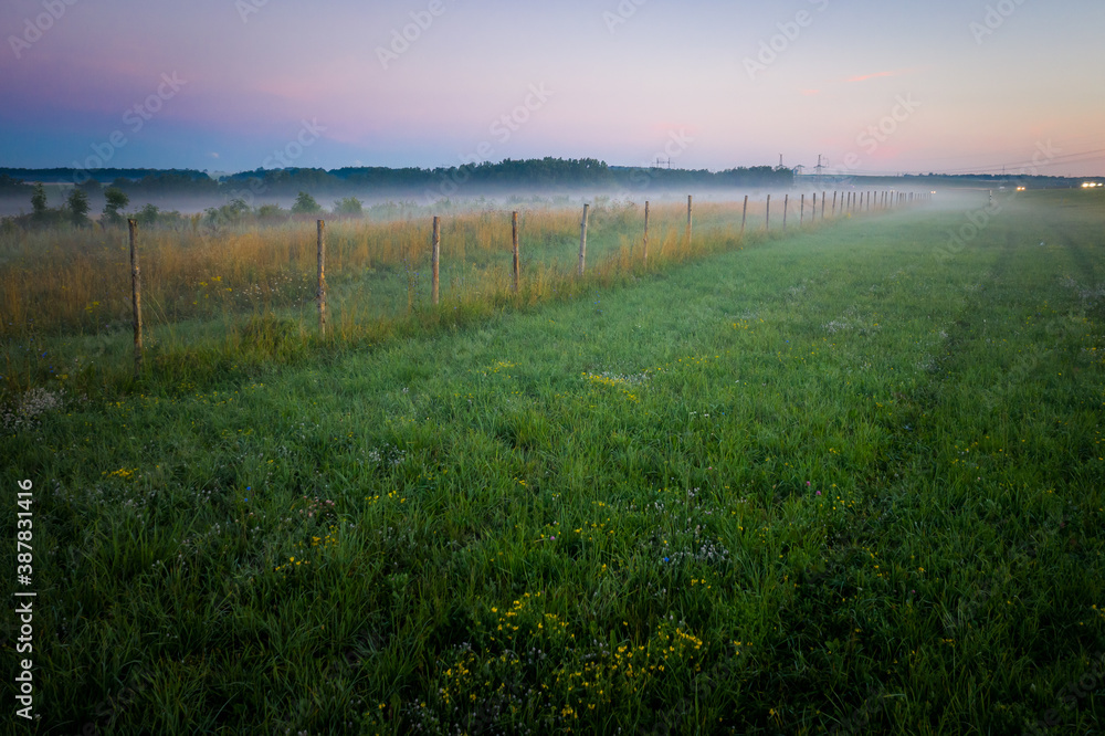 Obraz premium Morning fog in the meadows during sunrise in the countryside. Rural landscape with a fog on the geen field.