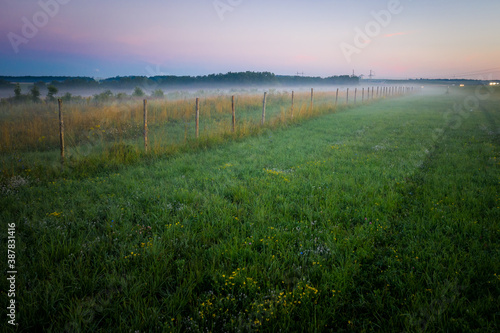 Morning fog in the meadows during sunrise in the countryside. Rural landscape with a fog on the geen field. © Alexey Oblov