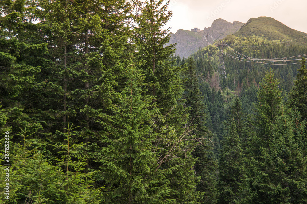 Mountain roller coaster to Kasprowy Wierch in the Polish Tatras. Rails over coniferous trees. Mountain trail. High green trees. Mountain roller coaster to Kasprowy Wierch in the Polish Tatras. Rails over coniferous trees. Mountain trail. High green trees.