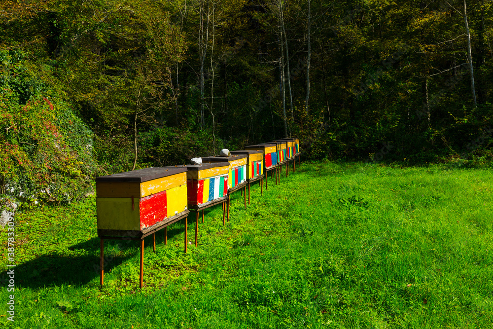 Beehive, Soca Valley, Julian Alps, Municipality of Kobarid, Slovenia, Europe Beehive, Soca Valley, Julian Alps, Municipality of Kobarid, Slovenia, Europe
