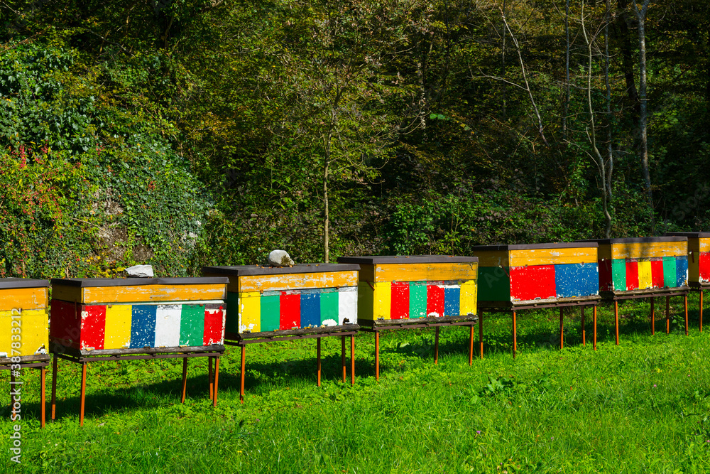Beehive, Soca Valley, Julian Alps, Municipality of Kobarid, Slovenia, Europe